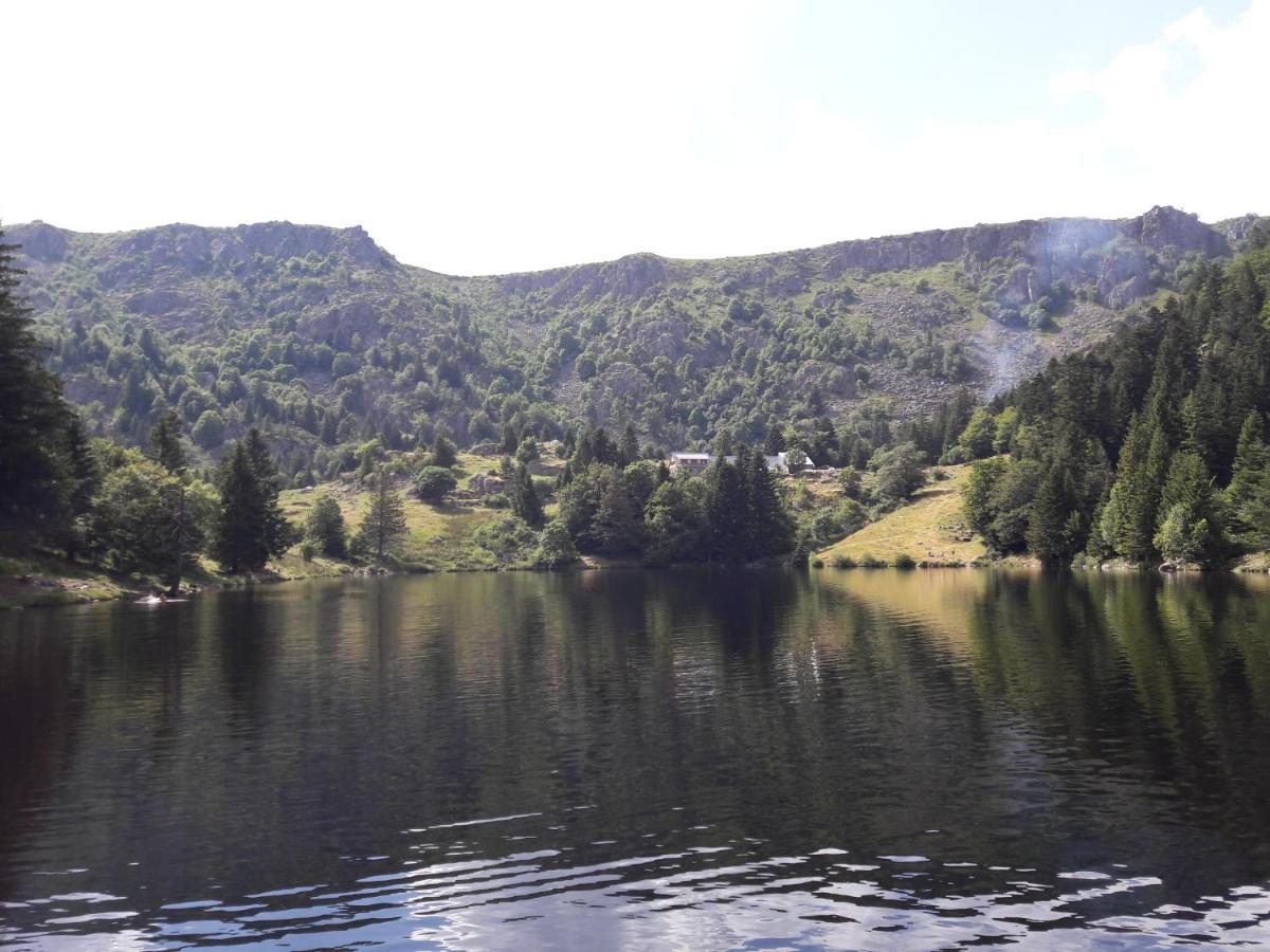 Munster Camping De La Fecht エクステリア 写真