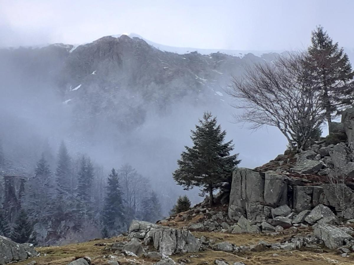 Munster Camping De La Fecht エクステリア 写真
